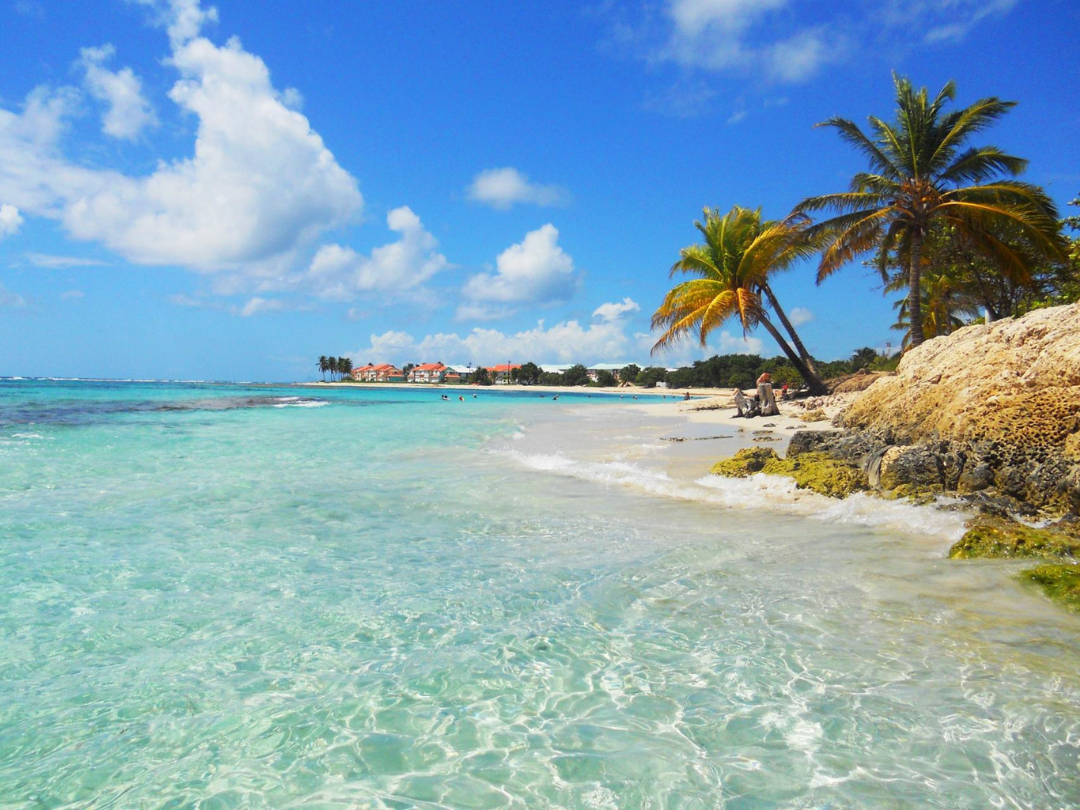 Plage de Raisins Clairs