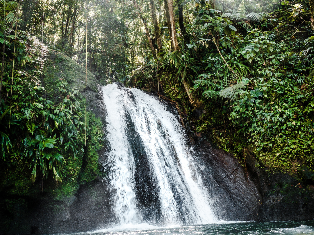 cascade aux écrevisses