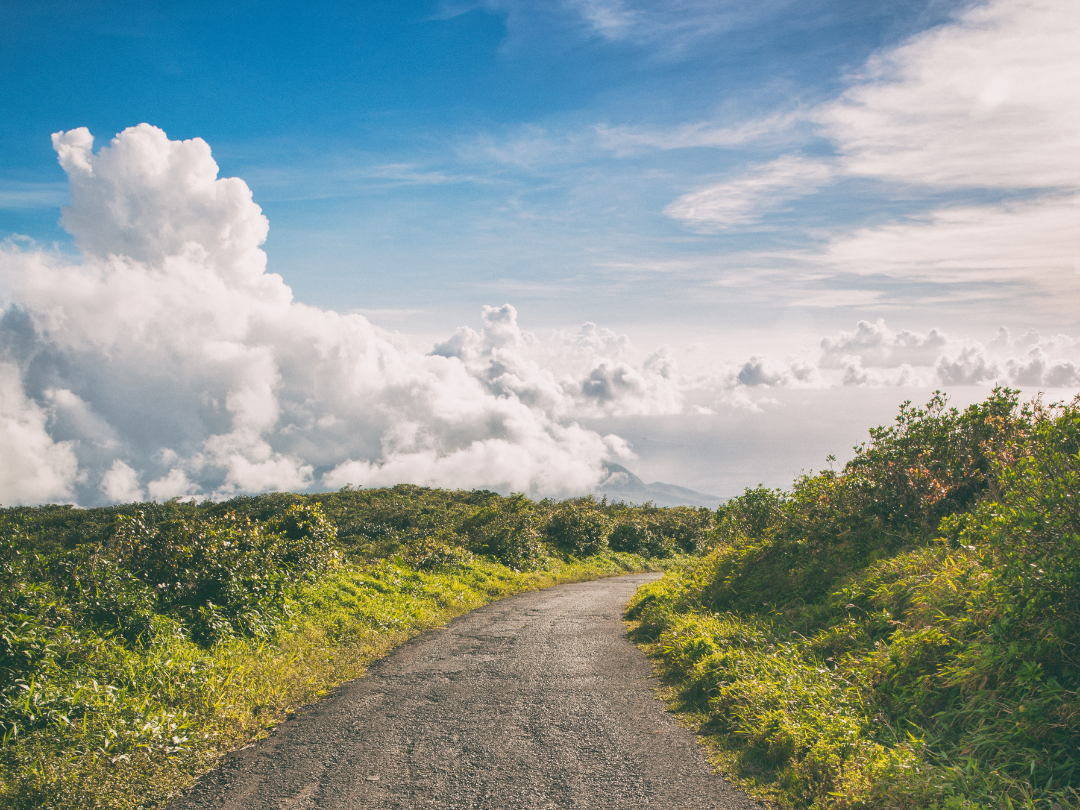 Chemin de terre à Basse-Terre