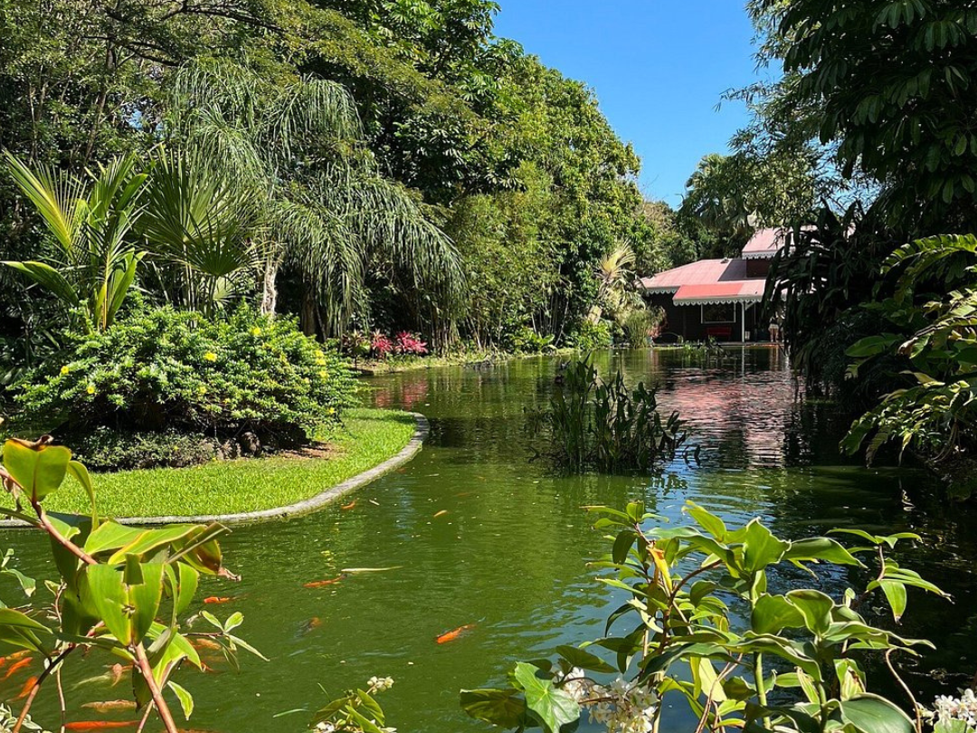 jardin botanique de Deshaies