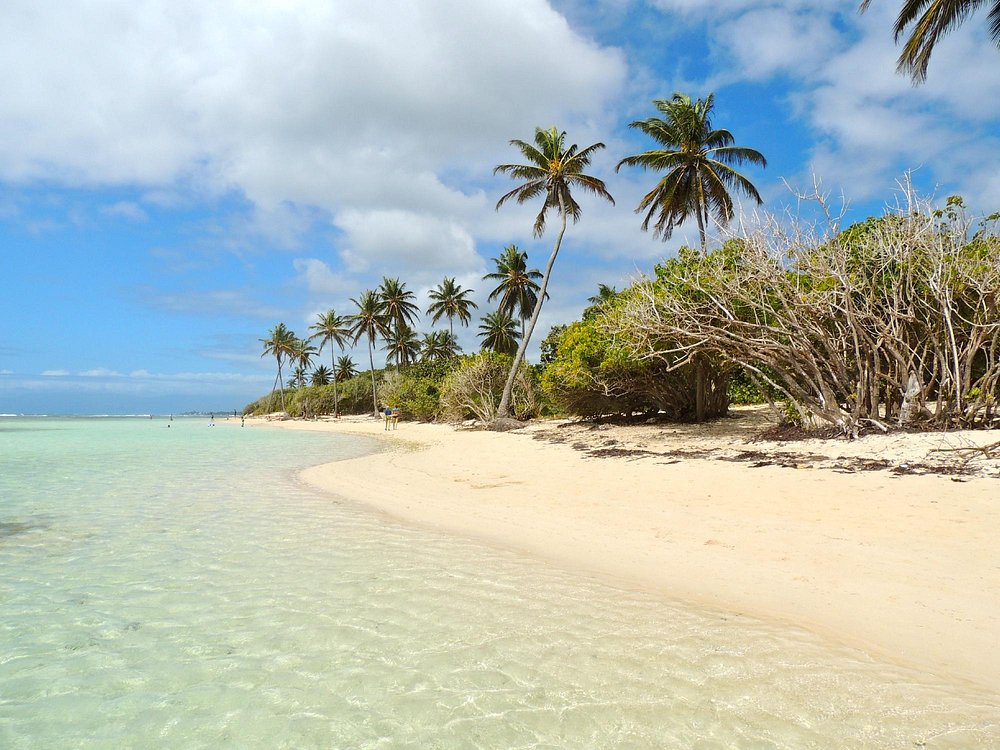 Plage de Bois-Jolan à Sainte-Anne